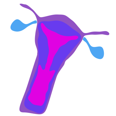 Gyn&auml;kologische Sprechstunde